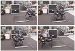 Reference-free Model Predictive Control for Quadrupedal Locomotion